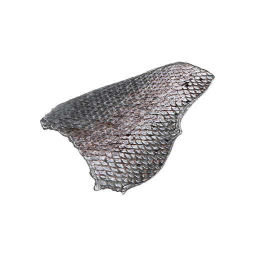 10X Fish Scales