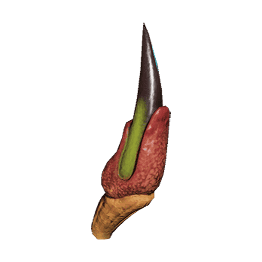 10X Nistlepod