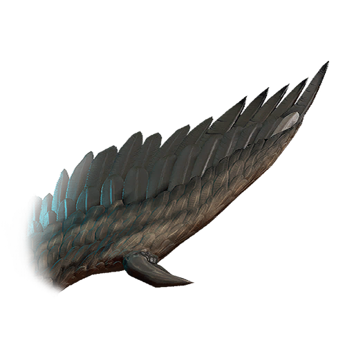 Condroc Wing