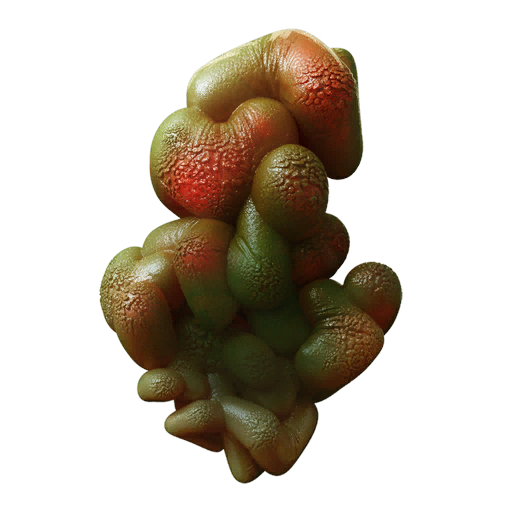 Ferment Bladder