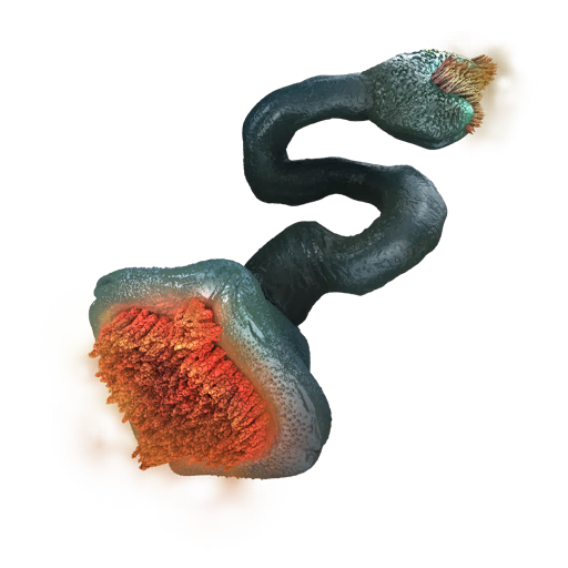 Parasitic Tethermaw