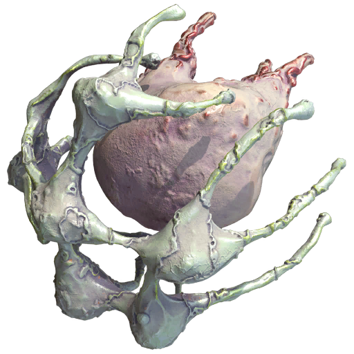 Rune Marrow
