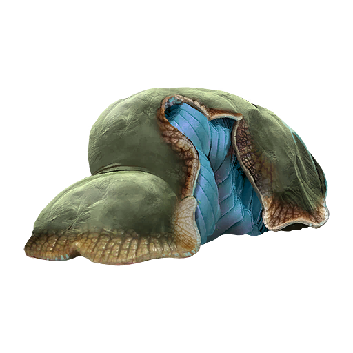 Goopolla Spleen