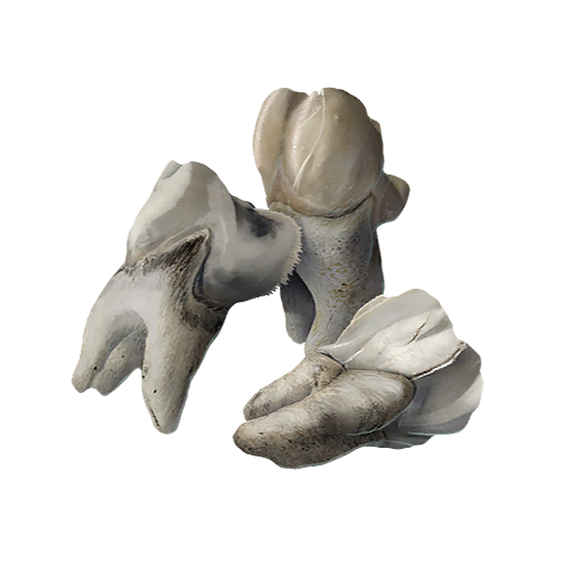 Sharrac Teeth