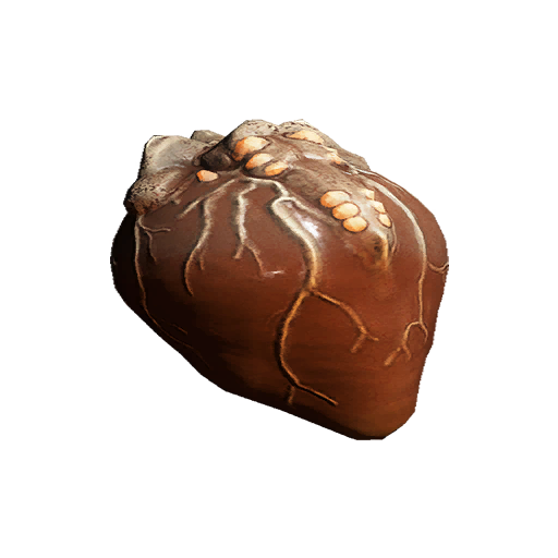 Mytocardia Spore