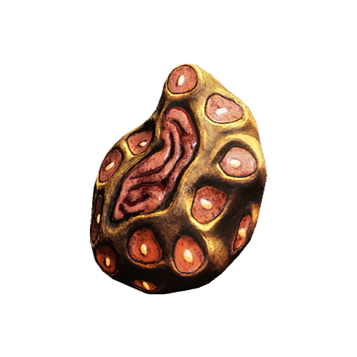 Gorgaricus Spore